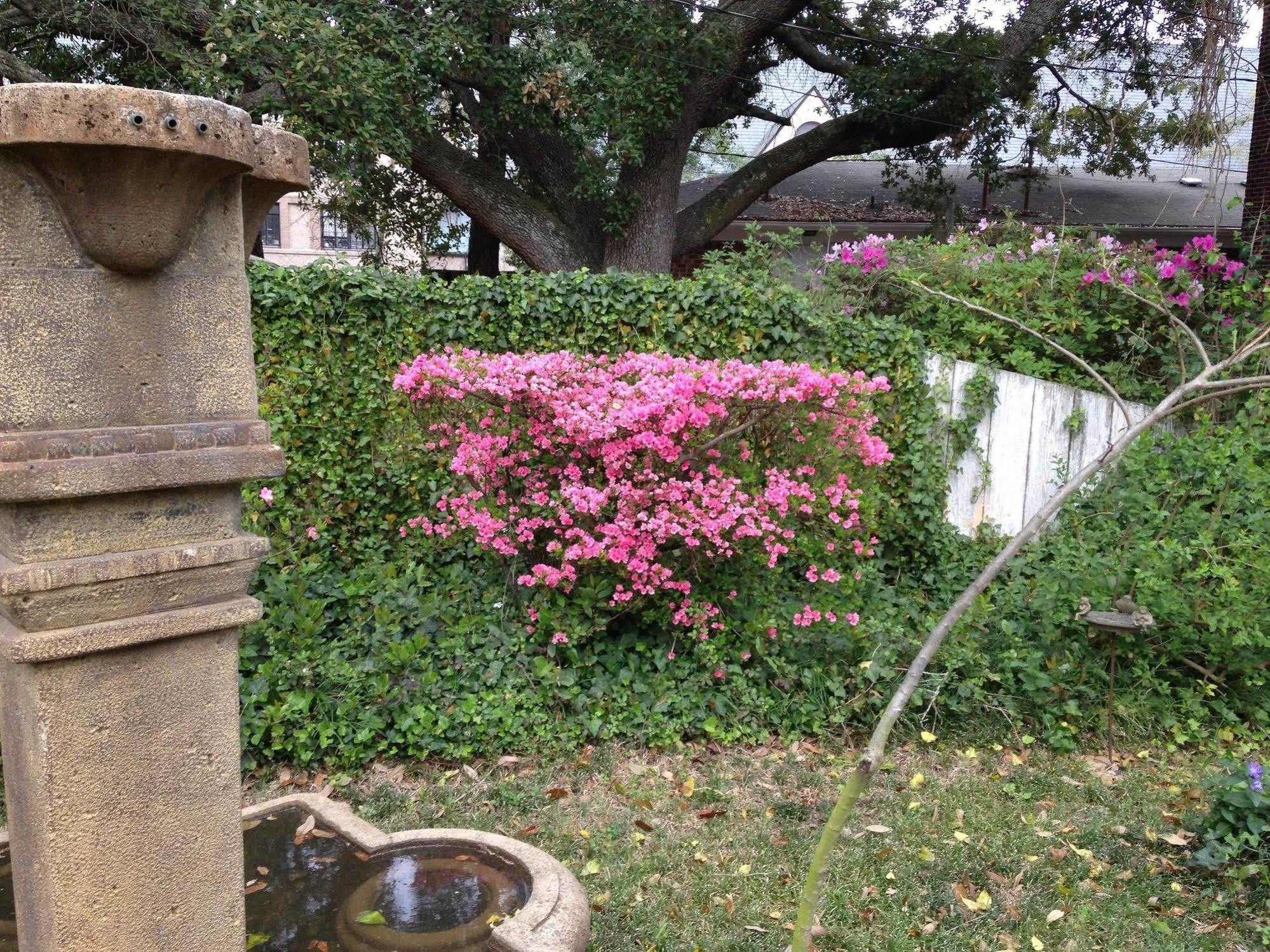 ウィルミントン ポート シティ ゲスト ハウス Bed & Breakfast エクステリア 写真